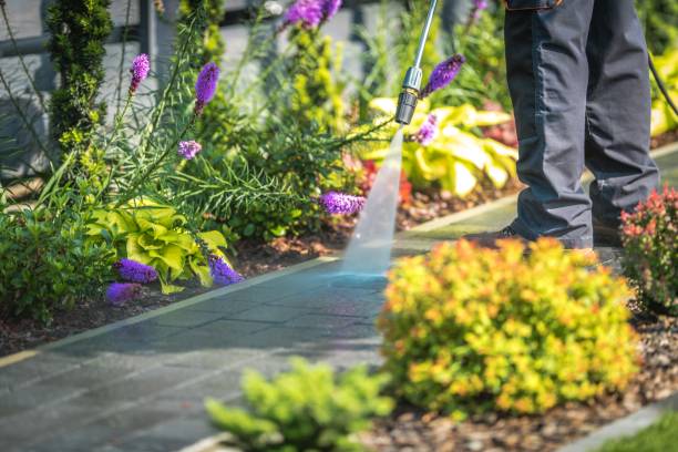 Best Dumpster Area Cleaning  in Rutgers University Busch Campus, NJ